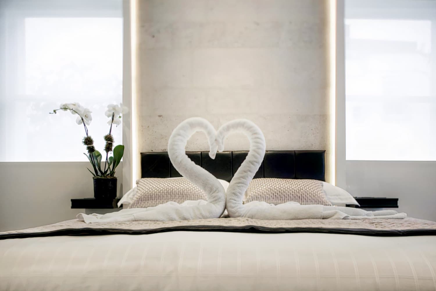 NOX HOTELS - Belsize Park