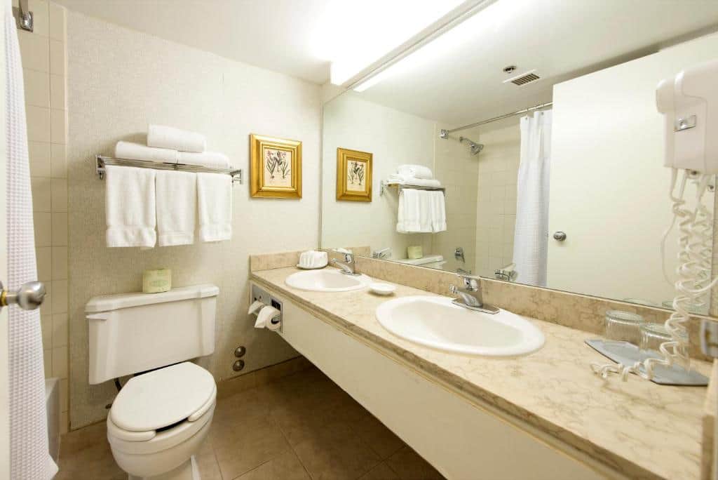 Toronto Don Valley Hotel & Suites