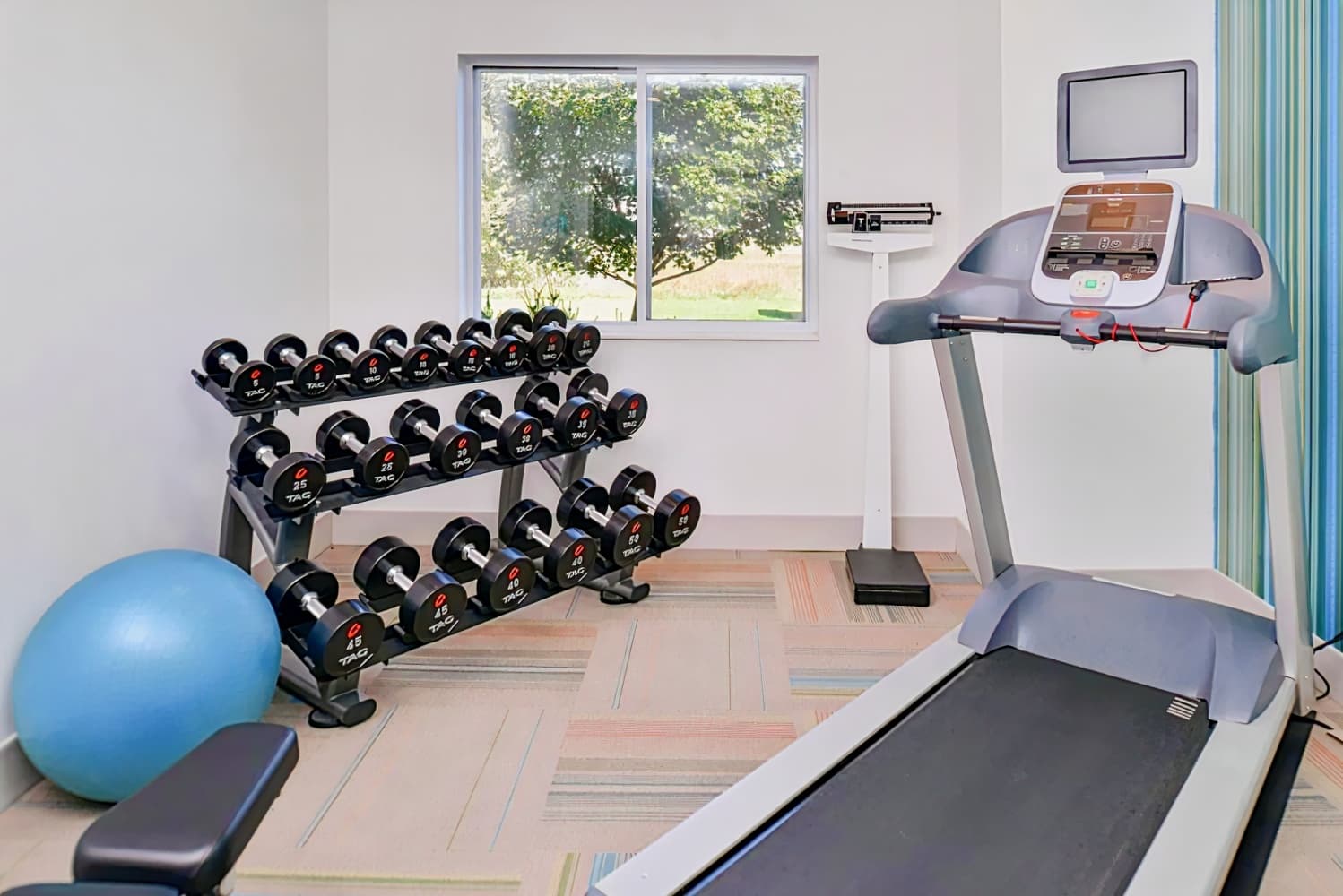 Holiday Inn Express Hotel and Suites Stevens Point